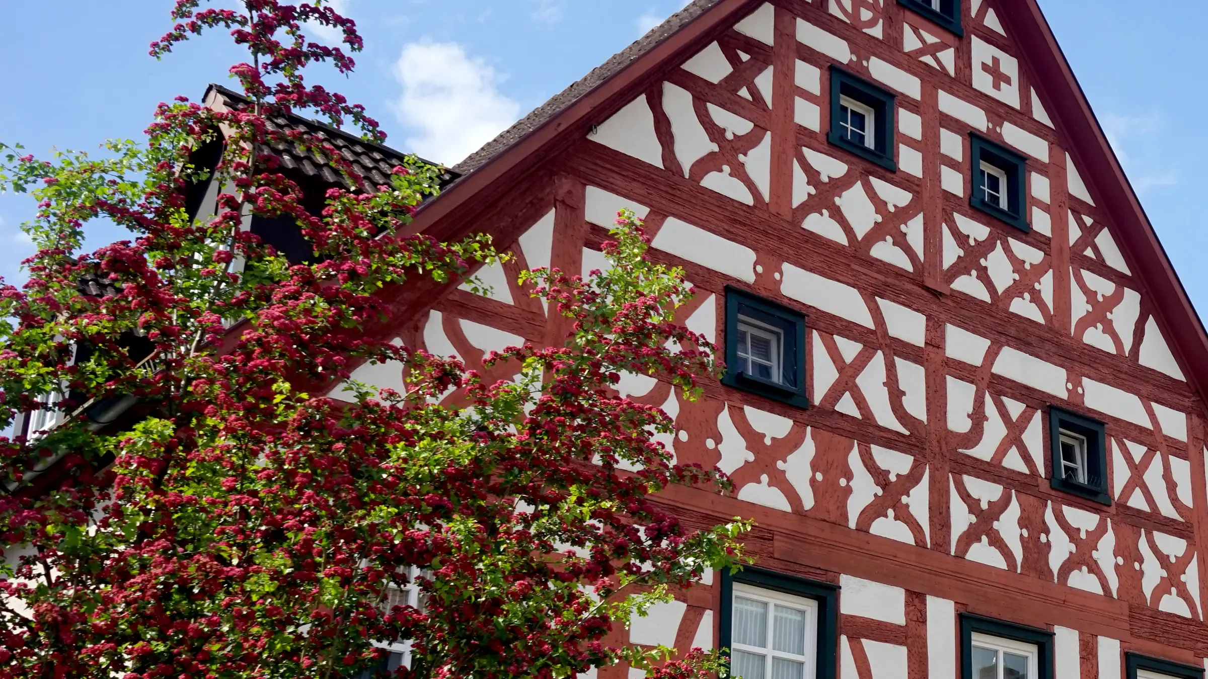 Fachwerkhaus mit Baum davor, der rote Früchte trägt
