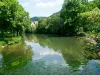Die Wiesent fließt durch Ebermannstadt, Bäume und Sträucher am Ufer